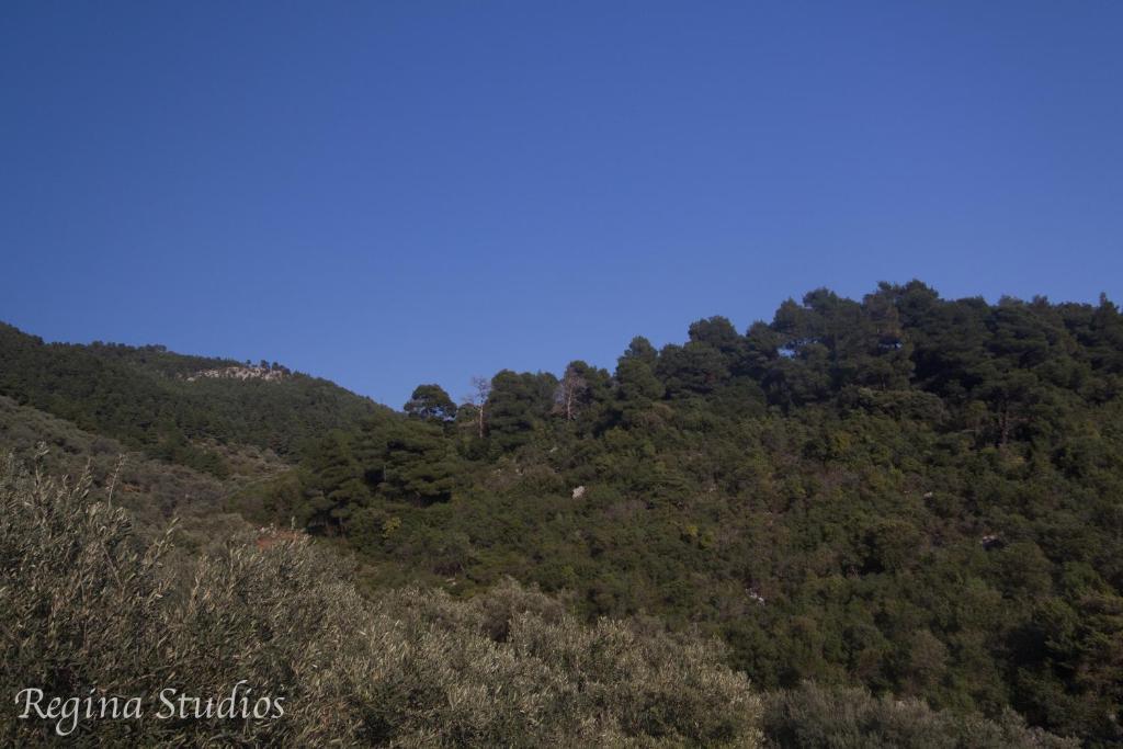 Skalopati Studios & Villa Panormos  Buitenkant foto