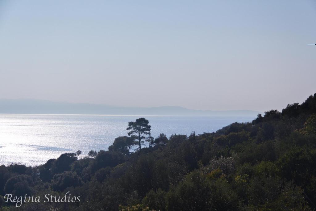 Skalopati Studios & Villa Panormos  Buitenkant foto